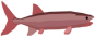 Oreochima