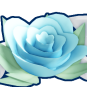 Lovely Rose