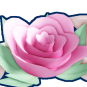 Lovely Rose