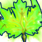 Lucid Leaf