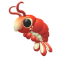 Emperor Shrimp