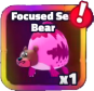 Focused Sea Bear