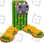 Cacto Hipopotamo