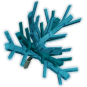 Dragon Sapling