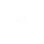 Snoob Migration