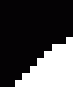 Developer