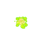 Clovers & Coins