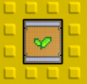 100 Seeds GIFT