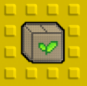 5000 Seeds GIFT