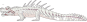 Sarcosiris