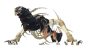 Nok'Tuun