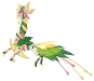 Citrulantis