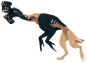 Kriprik