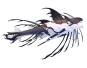 Magnacetus