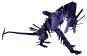 Tsugae