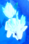 Ice Wolf