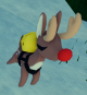 Reindeer