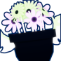Flower Pot