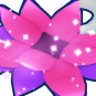Lovely Lotus