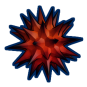 Sea Urchin