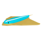 Surfboard Ray