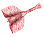 Red Ice Pegasus Knife