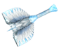 White Ice Pegasus Knife