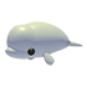 Beluga Whale