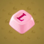 Input Key #27800