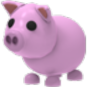 Pig