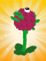 Dragon Fruit Seed