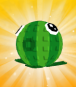 Watermelon Seed