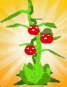 Tamatrio Seed