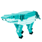 Squalo Cavallo (Rainbow)