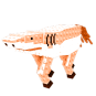Squalo Cavallo (Magma)
