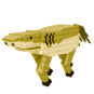 Squalo Cavallo (Gold)