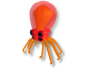 Red Crabsquid