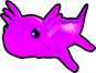 Axolotl