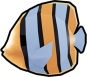 Banded Butterfly
