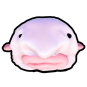Blob Fish