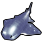 Blob Shark