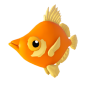 Boar Fish