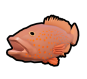 Coney Fish