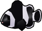 Darwin Clownfish