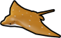 Dotted Stingray