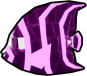 Enchanted Angelfish