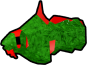 Festive Goby