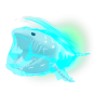 Ghost Worm Fish