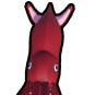 Giant Squid