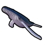 Great Whale
